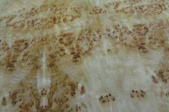 Mappa Burl Holz Veneer Länge 0,5m-2m / 2cm-2,44m/ 2,45m-3,6m