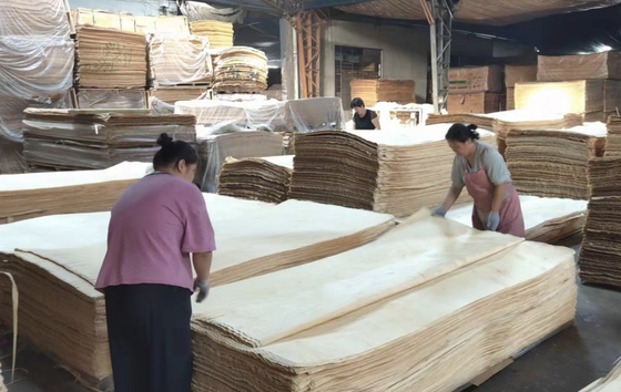 0.25-0.5mm russische Birke Veneer Drehschnitt Holz Veneer 1270x2500mm