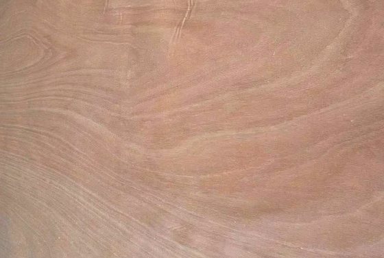 0.1-0.5mm Okoume Holz Veneer Drehgeschälte Veneer 1270mm*2500mm