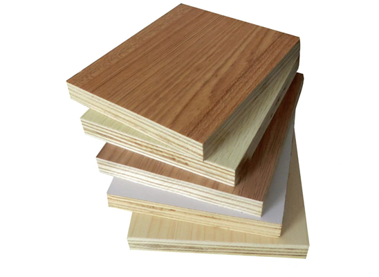 Hochfeste Melamine mehrfarbiges geschichtetes Sperrholz Länge 2,44 m