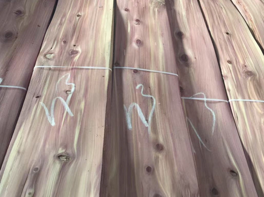 Name