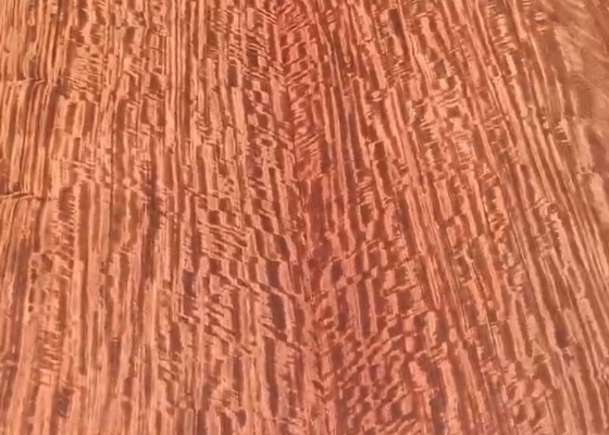 Name